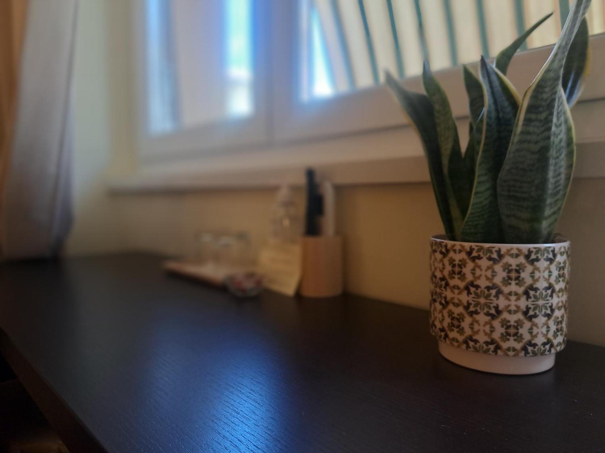 Eco B&B Marela Ρώμη Εξωτερικό φωτογραφία